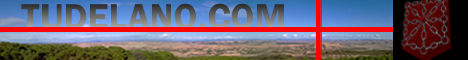 LOGO TUDELANO